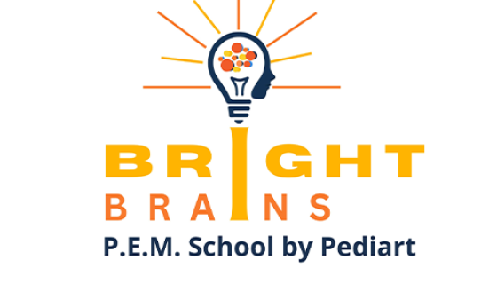 Pediart’tan Bright Brains PEM Okulu